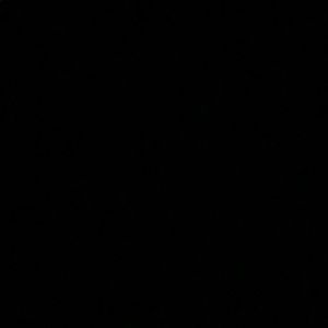 Meet your Posher, Dani